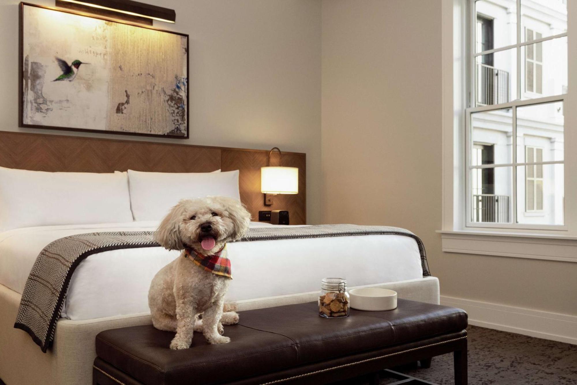 The Harpeth Franklin Downtown, Curio Collection By Hilton Hotel Bagian luar foto